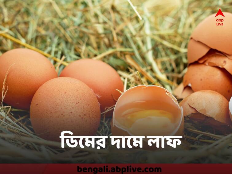 Egg Price Rise In Bengal, Price more than 7 rupees per piece Egg Price : আবার ডিমের দামে লাফ, সাধারণের পকেটে চাপ