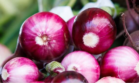 205 किलो कांद्याची विक्री, शेतकऱ्याच्या हाती फक्त 8 रुपये...