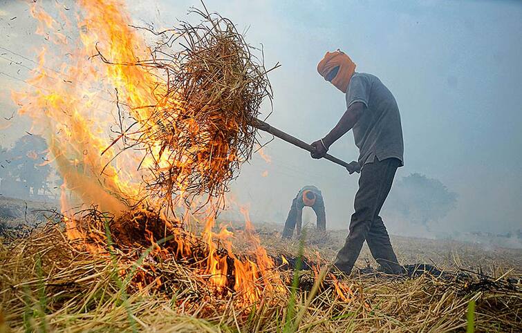 Ludhiana News : Farmers who do not burning  stubble will be honored tomorrow by the Punjab government in PAU Ludhiana News :  ਪਰਾਲੀ ਨੂੰ ਅੱਗ ਨਾ ਲਾਉਣ ਵਾਲੇ ਕਿਸਾਨਾਂ ਨੂੰ ਕੱਲ ਪੰਜਾਬ ਸਰਕਾਰ ਵੱਲੋਂ ਪੀਏਯੂ 'ਚ ਕੀਤਾ ਜਾਵੇਗਾ ਸਨਮਾਨਿਤ