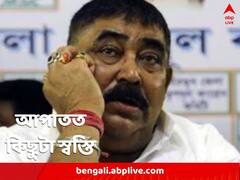 শুনানি পিছোল আদালতে, এখনই অনুব্রতকে দিল্লি নিয়ে যেতে পারবে না ইডি