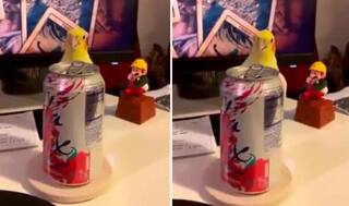 Funny Video: ਕੀ ਤੁਸੀਂ ਕਦੇ ਇੱਕ ਛੋਟੇ ਪੰਛੀ ਨੂੰ ਲੁਕਣਮੀਟੀ ਖੇਡਦੇ ਦੇਖਿਆ ਹੈ? ਇੱਕ ਵਾਰ ਨਹੀਂ ਸਗੋਂ ਦਸ ਵਾਰ ਦੇਖੋਗੇ ਤੁਸੀਂ ਇਹ ਮਜ਼ਾਕੀਆ ਵੀਡੀਓ