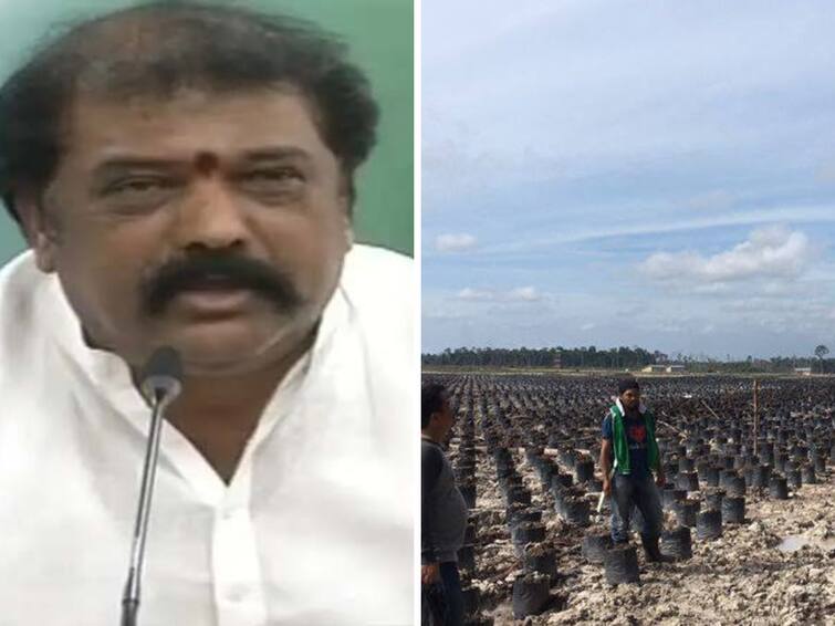 IT officials served notices to Kurnool Minister Jayaram's wife. AP Minister IT Notices : ఆ స్థలాలన్నీ బినామీల పేర్లతో మంత్రి జయరాం కొన్నారా ? - డబ్బులెక్కడివో చెప్పాలని ఐటీ నోటీసులు !