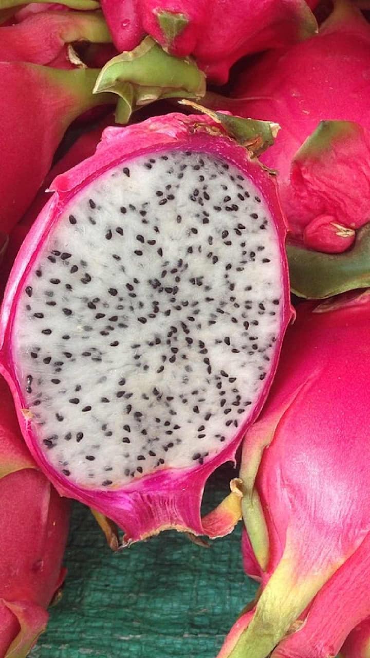 ड्रॅगन फळ तुमच्या त्वचेसाठी फार फायदेशीर आहे. यामध्ये व्हिटॅमिन सी भरपूर प्रमाणात असते जे निरोगी त्वचेसाठी खूप महत्वाचे आहे. ड्रॅगन फ्रूटमध्ये असलेले व्हिटॅमिन सी सनबर्न कमी करण्यास आणि जळलेल्या भागात संसर्ग टाळण्यास मदत करते.