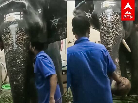 Manakula Vinayagar Temple Elephant Death : ”லட்சுமி.. லட்சுமி” கட்டிப்பிடித்து கதறி அழுத பாகன்..