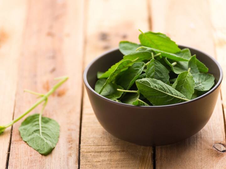 एकादशी के दिन भूलकर भी तुलसी दल न तोड़े, इससे देवी लक्ष्मी क्रोधित हो जाती हैं और धन हानि होती है. पूजा में भगवान विष्णु को तुलसी चढ़ाने के लिए इसे एक दिन पहले ही तोड़ लें.