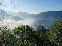 Photo : डिसेंबरच्या पहिल्या आठवड्यात 'थंडी'चा जोर वाढणार