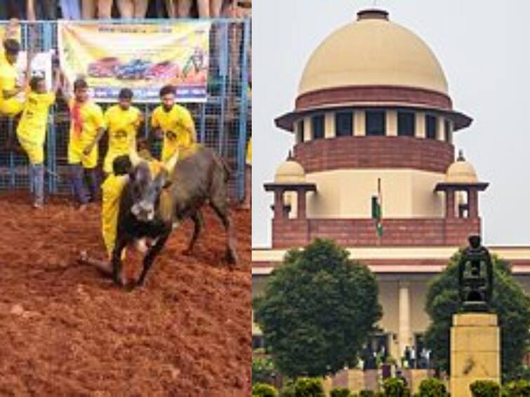 Jallikattu: Tamil Nadu government demand justice come to watch jallikattu matches Jallikattu: ஜல்லிக்கட்டு போட்டிகளை பார்க்க உச்சநீதிமன்ற நீதிபதிகளுக்கு தமிழ்நாடு அரசு அழைப்பு...!