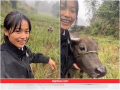 लड़की की एक आवाज पर जान छिड़कती है भैंस, वीडियो देख हो जाएगा प्यार