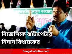 ‘তৃণমূলকে চোর বললে বিজেপিকে ঝাঁটাপেটা করুন’, হুঁশিয়ারি বাগদার বিধায়কের