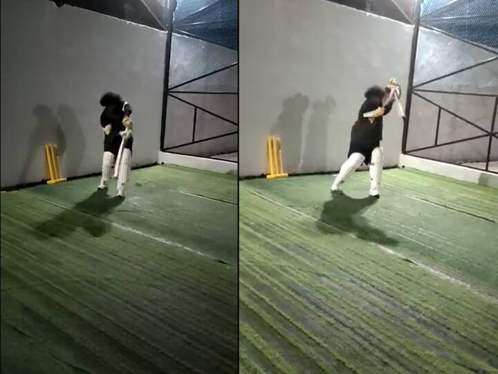 Yogi Babu doing cricket practise video goes viral watch Yogi Babu: மாஸ் கிரிக்கெட் பயிற்சி... தோனி, கோலிக்கு சவால்விடும் யோகி பாபு! இதுதான் விஷயமா?