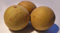 Chikoo Benefits: શિયાળામાં ડાઇટમાં સામેલ કરો આ સસ્તુ ફળ, શરીરને મળશે જબરદસ્ત ફાયદા