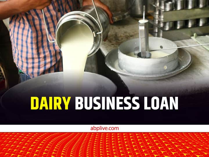 Dairy farming Scheme State Bank of India Provide Easiest loan without collateral for dairy business Dairy Farming Scheme: बिना कुछ गिरवी रखे लोन दे रही ये बैंक....दूध-डेयरी, पशुपालन से जुड़े लोग फटाफट कर दें आवेदन