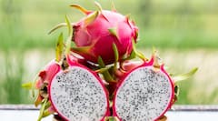 Health Tips : ਡਰੈਗਨ ਫਰੂਟ ਦੇ ਇਨ੍ਹਾਂ ਫਾਇਦਿਆਂ ਬਾਰੇ ਜਾਣ ਕੇ ਹੋ ਜਾਓਗੇ ਹੈਰਾਨ, ਮਿਲਦੇ ਕਈ ਲਾਭ