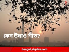 উত্তরবঙ্গে হালকা শীতের আমেজ, কিন্তু দক্ষিণবঙ্গে শীত উধাও কেন?