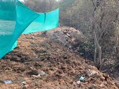 Navi mumbai: डेब्रिज माफियांकडून मॅग्रोजची कत्तल करत 5 एकराचा भराव 