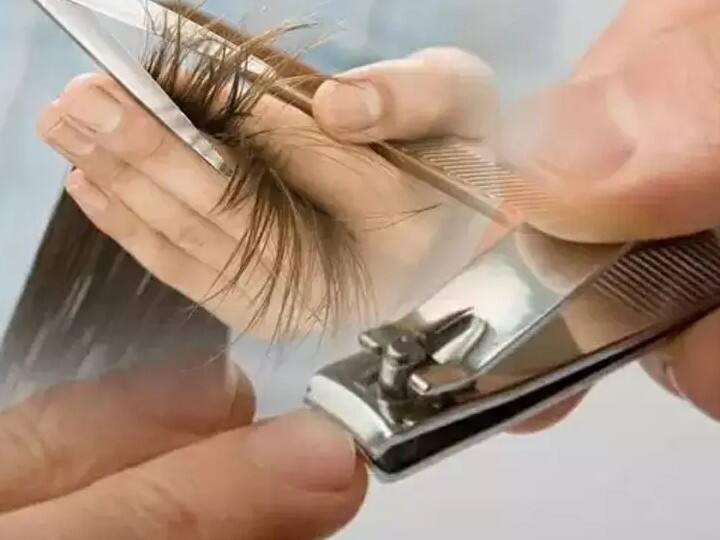 मान्यता के अनुसार मोक्षदा एकादशी व्रत के दिन नाखून, बाल, दाढ़ी नहीं काटना चाहिए. ऐसा करना अशुभ माना गया है. क्रोध का त्याग, ब्रह्मचर्य का पालन करें