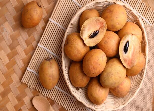 Chikoo Benefits: બાળકોના મનપસંદ ફળોની યાદીમાં ચીકુનું નામ સામેલ છે. ચીકુનો સ્વાદ દરેકને ગમે છે. તે માત્ર સ્વાદની દ્રષ્ટિએ જ નહીં પણ સ્વાસ્થ્યની દ્રષ્ટિએ પણ ફાયદાકારક છે.