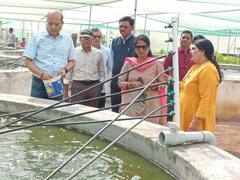 In Pics: जल्द मार्केट में आएगा ज्यादा उत्पादन वाले किस्म का मछली बीज! थाईलैंड के साइंटिस्ट मिलकर कर रहे मछलियों के जेनेटिक्स पर रिसर्च