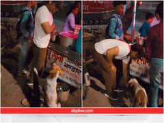 ​भूखे कुत्ते को शख्स ने खाने को दिए अंडे, दिल जीत लेगा वीडियो