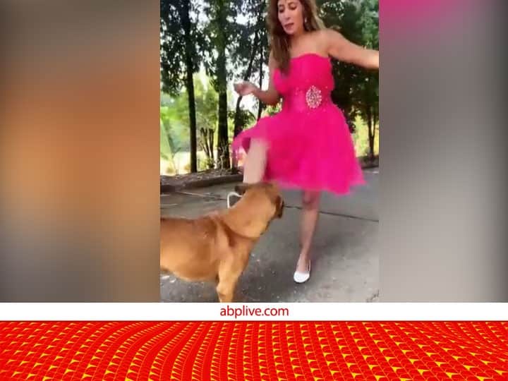 Instagram influencer Kajal Kiran get trolled by the follower after hitting a dog in video Watch: इंस्टाग्राम इंफ्लुएंसर ने कुत्ते को मारी लात, वीडियो वायरल होने पर मचा हंगामा तो मांगी माफी