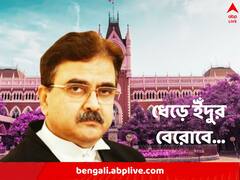 হতে হবে নির্ভীক, অনেক ধেড়ে ইঁদুর বেরোবে, নিয়োগ দুর্নীতির শুনানিতে ইঙ্গিতপূর্ণ মন্তব্য বিচারপতির