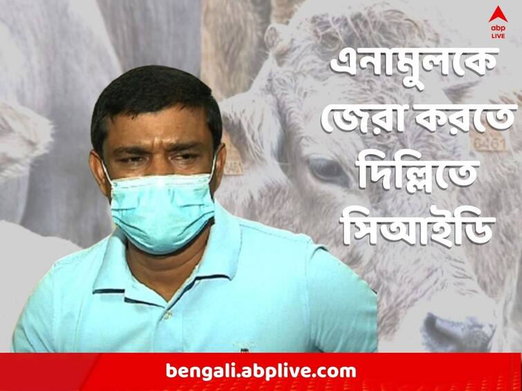 CID visit in Delhi due to interrogate with Enamul Haque on Cattle Scam Cattle Scam: গরুপাচার মামলায় এনামুল হককে জেরা করতে দিল্লি পৌঁছল সিআইডি