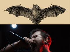 Bats Create Sounds Like Death Metal Singers, Study Says Their Octave Range Exceeds That Of Mariah Carey