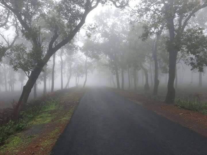 Chhattisgarh Weather Update condition in Chhattisgarh, Surguja division will be coldest ANN Chhattisgarh Weather Update: छत्तीसगढ़ में मौसम का हाल, किस संभाग में पड़ेगी सबसे ज्यादा ठंड, कितना लुढ़केगा का पारा