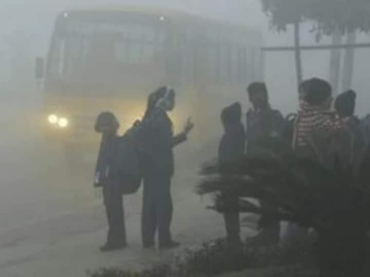 temperature of Nagpur has dropped drastically vidarbha Weather latest update Nagpur Weather : नागपूर गारठलं; पारा 9.9 अंशांवर; विदर्भातील जिल्ह्यांच्या तापमानात लक्षणीय घट