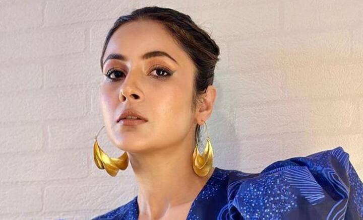 একই সঙ্গে সিদ্ধার্থের প্রতি নিজের বিখ্যাত উক্তিরও পুনরাবৃত্তি করেন শেহনাজ। সিদ্ধার্থের উদ্দেশে বলে ওঠেন, “তুমি শুধু আমার, আর আমারই থাকবে।”