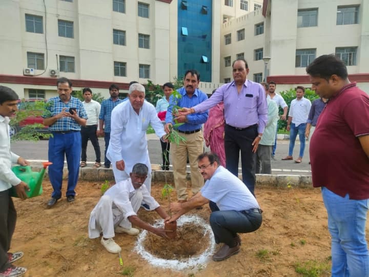 Rajasthan News: भरतपुर के 'ट्री मैन' कहलाते हैं बच्चू सिंह वर्मा, अब तक लगा चुकें हैं 65 हजार से ज्यादा पौधे Rajasthan Bachchu Singh Verma is the Tree Man of Bharatpur Know about it ANN Rajasthan News: भरतपुर के 'ट्री मैन' कहलाते हैं बच्चू सिंह वर्मा, अब तक लगा चुकें हैं 65 हजार से ज्यादा पौधे