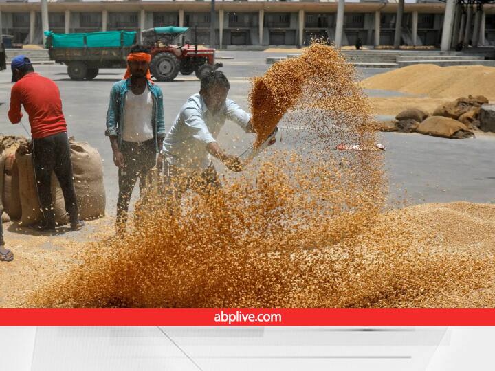 paddy procurement Yogi government is buying paddy in Uttar Pradesh Paddy Procurement: इस राज्य सरकार ने दी बड़ी राहत... जब तक किसान धान लेकर मंडी आएंगे, खरीद चलती रहेगी