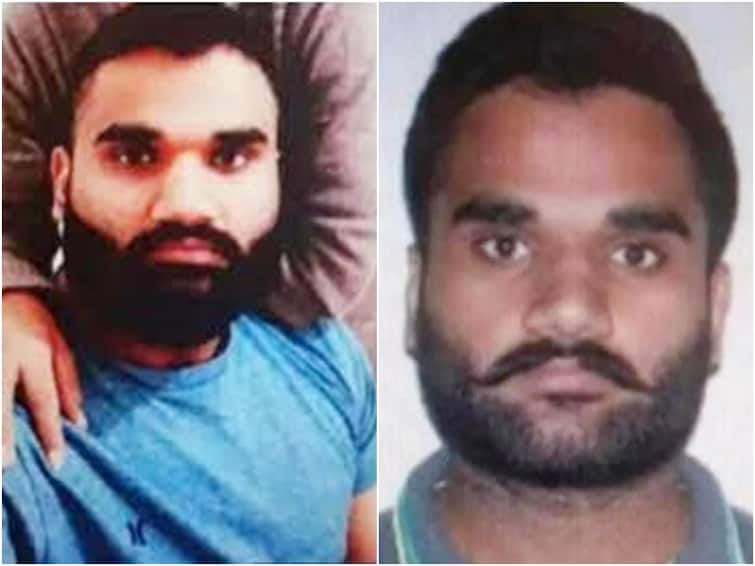 Sidhu Moose Wala Murder Accused Gangster Goldy Brar Detained In America: Punjab CM