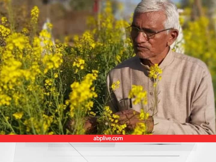 Successful farmers and true Inspiration of Dry Farming miracle in India Padma Shri Sundaram Verma Success Story: मिलिए 'पद्म श्री' सुंडाराम वर्मा से, जो सिर्फ एक लीटर पानी में इस तरह पेड़ उगाकर बने 'खेती के जादूगर'