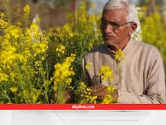 Success Story: मिलिए 'पद्म श्री' सुंडाराम वर्मा से, जो सिर्फ एक लीटर पानी में इस तरह पेड़ उगाकर बने 'खेती के जादूगर'