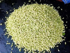 ஒரே நாளில் உச்சம் தொட்ட மல்லிகை பூ  விலை; தேனியில் கிலோ ரூ.3 ஆயிரம் ருபாய் வரை விற்பனை