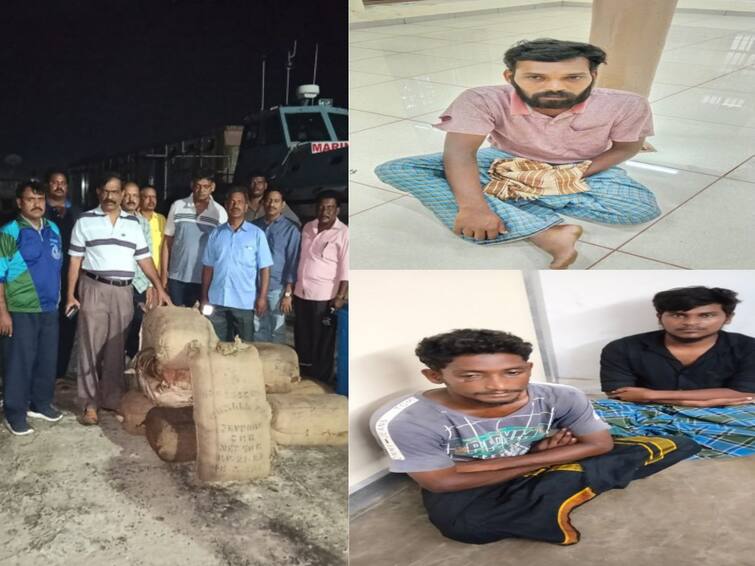 3 have arrested by the customs officers for cannabis trafficing in Srilanka TNN இலங்கைக்கு கடத்த இருந்த 206 கிலோ கஞ்சா பறிமுதல் - நாகையை சேர்ந்த 3 பேர் கைது