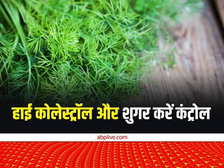 how to use dill leaves what are the health benefits of dill leaves how