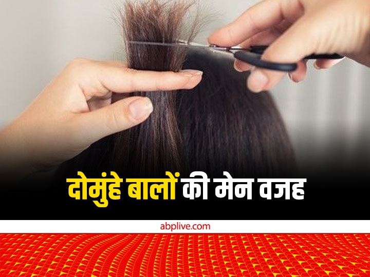 Hair Care Tips For Split Ends Hair Styling Products And Excessive Swimming  Damage Your Hair | Split Ends: जानना चाहते हैं क्यों दोमुहें हो जाते हैं  आपके बाल? तीसरे नंबर का कारण