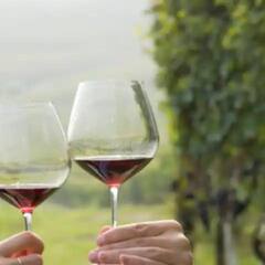 Cancer Risk : আমেরিকার ৫০ শতাংশেরও বেশি প্রাপ্তবয়স্ক জানেন না যে এই পানীয়গুলি ক্যান্সারের ঝুঁকি বাড়ায় !