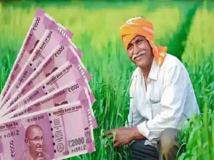 Kota Rajasthan Farmers can apply for Prime Minister crop insurance scheme Agriculture Department told ANN Kota News: कोटा के किसान इस तारीख तक करा सकते हैं फसलों का बीमा, जानिए- क्या हैं नियम और किन किसानों को मिलेगा लाभ