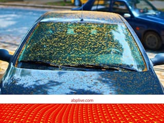 Car Care Tips: कार के ज्यादा समय तक खड़े रहने से हो सकते हैं कई नुकसान, बचना है तो रखें इन बातों का ध्यान
