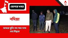'গন্ধ' পেতেই সন্দেহ, মাথার খুলি-সহ পচা গলা দেহ উদ্ধার নদিয়ায়