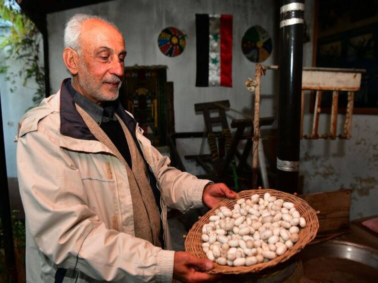 Silkworm Breeder Fights To Keep Sericulture Alive In Syria Silkworm Breeder Fights To Keep Sericulture Alive In Syria