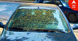 Car Care Tips : ਕਾਰ ਨੂੰ ਜ਼ਿਆਦਾ ਦੇਰ ਤੱਕ ਖੜ੍ਹਾ ਕਰਨ ਨਾਲ ਹੋ ਸਕਦਾ ਹੈ ਨੁਕਸਾਨ, ਇਸ ਤੋਂ ਬਚਣਾ ਚਾਹੁੰਦੇ ਹੋ ਤਾਂ ਇਨ੍ਹਾਂ ਗੱਲਾਂ ਦਾ ਰੱਖੋ ਧਿਆਨ