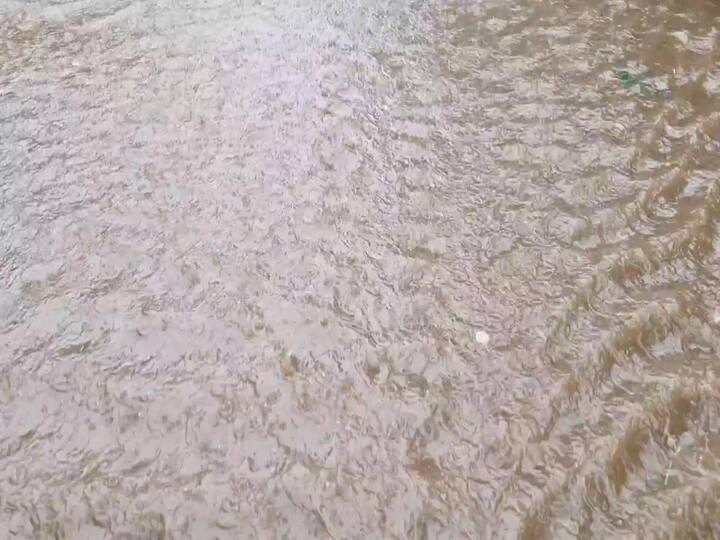 சென்னை- 66.44 செ.மீ