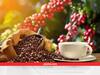 Coffee Marketing: अब कॉफी किसानों की बढ़ेगी इनकम, सरकार ने बनाई ये स्कीम, हर किसान को होगा सीधा फायदा