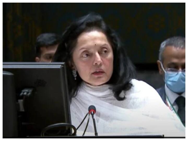 India assumed Presidency UN Security Council for one month UN Ambassador Ruchira Kamboj respond democracy and freedom of press in India 'लोकतंत्र को लेकर हमें किसी से सीखने की जरूरत नहीं'- यूएन में भारत ने दिया जवाब