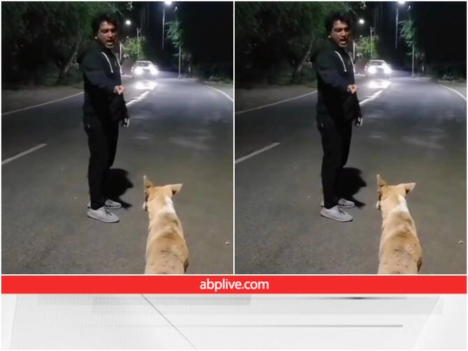 Man Mimicry Sunny Deol Style To Dog Funny Viral Video | Sunny Deol की स्टाइल में आवारा कुत्ते से बात कर रहा है शख्स, Video देख नहीं रुकेगी हंसी Man Mimicry Sunny Deol Style To Dog Funny Viral Video | Sunny Deol की स्टाइल में आवारा कुत्ते से बात कर रहा है शख्स, Video देख नहीं रुकेगी हंसी