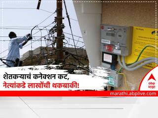 वीज बिल थकलं की शेतकऱ्यांचं कनेक्शन कट मात्र नेत्यांकडे लाखोंची थकबाकी; आकडे पाहून थक्क व्हाल